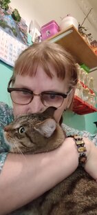 Дзен Лена Костылева статистика