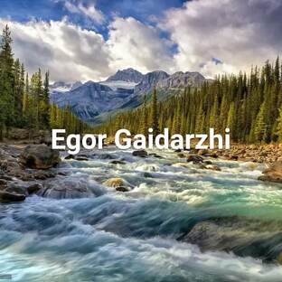 Статистика Дзен Егор Гайдаржи