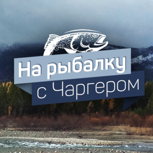 Статистика Дзен На рыбалку с Чаргером!
