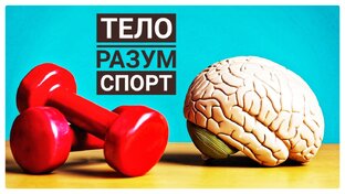 двигательная память человека. умственная и физическая нагрузка. мозг потребляет энергии. спорт и нервная система. умственная и физическая нагрузка.