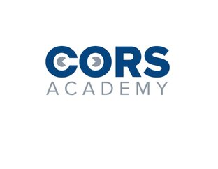 Статистика Дзен CORS Academy