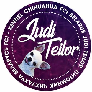 Статистика Дзен Питомник чихуахуа FCI JudiTeilor - купить щенка чихуахуа - Беларусь/Россия 