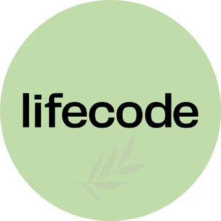 Статистика яндекс дзен Lifecode_ косметика