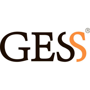 Статистика Дзен GESS