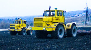 Дзен Серегина Деревня. статистика