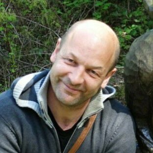 Дзен Вовкина деревня статистика