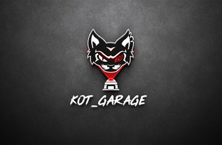 Статистика Дзен Kot-Garage