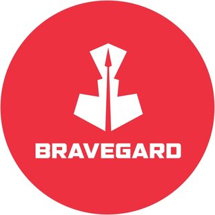 Статистика Дзен Bravegard 