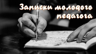 Дзен Записки молодого педагога. статистика