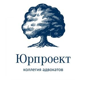 Статистика Дзен Коллегия адвокатов "Юрпроект"