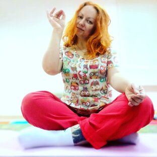 Дзен Ольга Гущина статистика