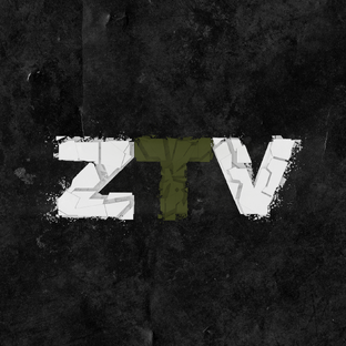 Статистика Дзен ZTV TV