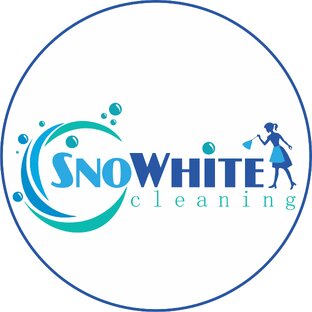 Дзен Snowhite Cleaning статистика