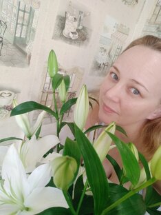 Дзен Автосервис и не только) статистика