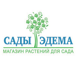 Статистика Дзен Сады-Эдема - цветы, порядок, вдохновение — всё о жизни в питомнике растений