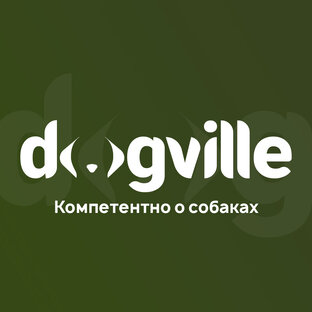 Статистика Дзен Dogville