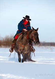 Дзен Конева и кони🐎🐎🐎 "Мышастое Ранчо" статистика