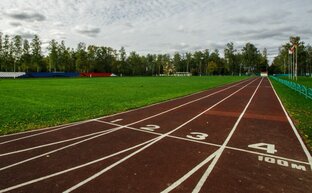 Статистика Дзен МБУ ФСК Купавна