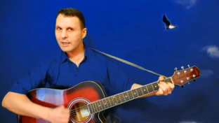 Статистика Дзен Владимир Кузнецов гитара