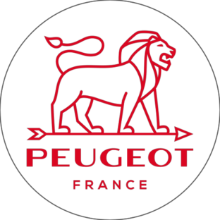 Статистика Дзен Peugeot