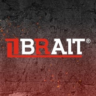 Статистика Дзен BRAIT_company