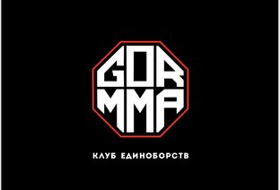 Статистика Дзен GORMMA