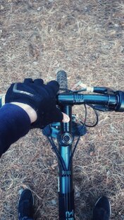 Дзен Денис Карпинский статистика