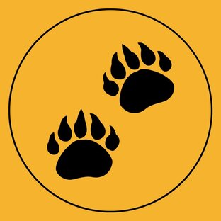 Статистика Дзен BigFoot: блог о Путешествиях