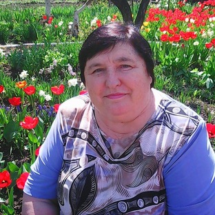Статистика Дзен Наталия Желтушко