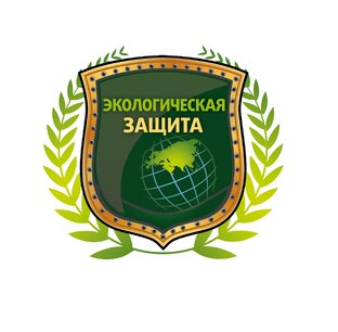 Статистика Дзен ТРОО "Экологическая защита"