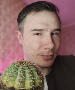 Статистика Дзен Мой мирОК
