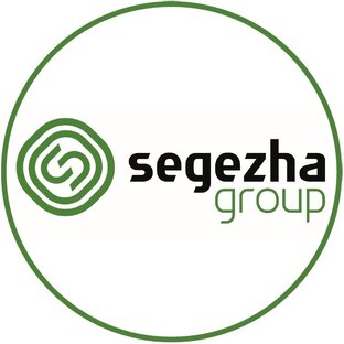 Статистика яндекс дзен Segezha Group