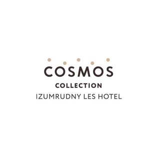Статистика Дзен Cosmos Collection Izumrudny Les Hotel