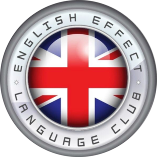 Дзен ENGLISH EFFECT статистика