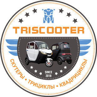 Статистика Дзен TRISCOOTER - ТРИЦИКЛЫ И КВАДРИЦИКЛЫ С КАБИНОЙ