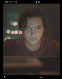 Дзен OSWALD статистика