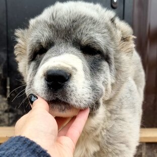 Статистика Дзен Марина Прекрасная