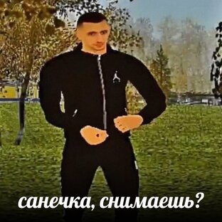 Дзен Позитифон статистика
