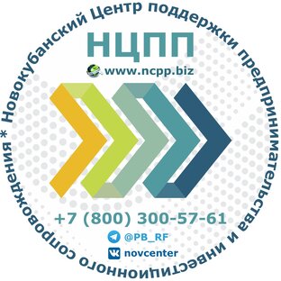 Статистика Дзен Новокубанский Центр поддержки предпринимательства
