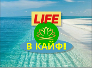 Дзен LIFEвКАЙФ статистика