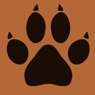 Логотип канала Wild Life