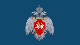 Статистика Дзен Главное управление МЧС России по Татарстану