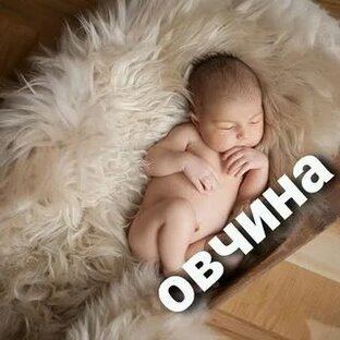 Статистика Дзен Овчина с Кавказа