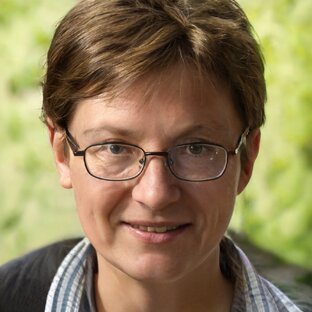 Дзен Морозова Света статистика