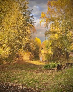 Статистика Дзен ФОТКУС