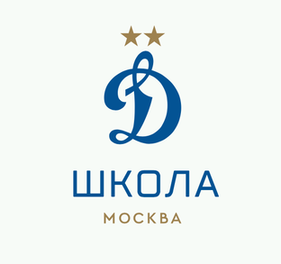 Статистика Дзен Футбольная Школа "Динамо" Москва