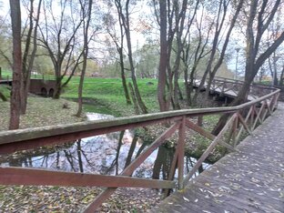 Дзен Все просто и легко.🪴 статистика