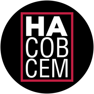 Статистика Дзен За границу насовсем