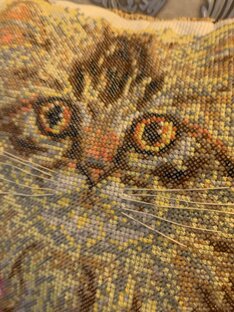 Дзен Кирилл Варумов статистика