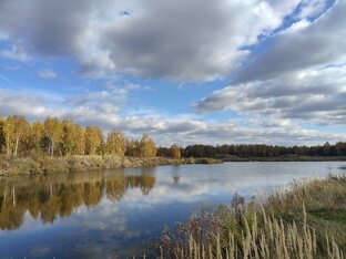 Статистика Дзен Юлия Земельный эксперт